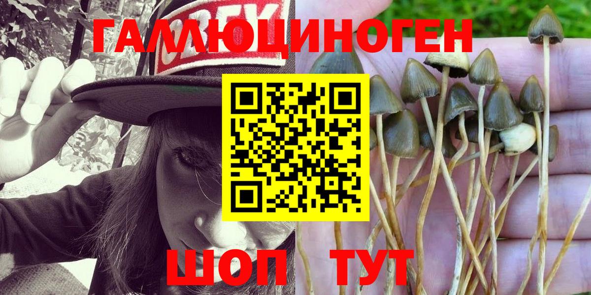 Псилоцибиновые грибы прущие грибы Кингисепп