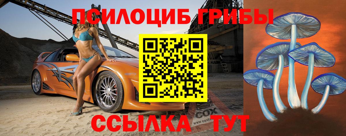 Кингисепп  Псилоцибиновые грибы Psilocybine cubensis  Вход с VPN  наркота  Псилоцибиновые грибы мицелий 